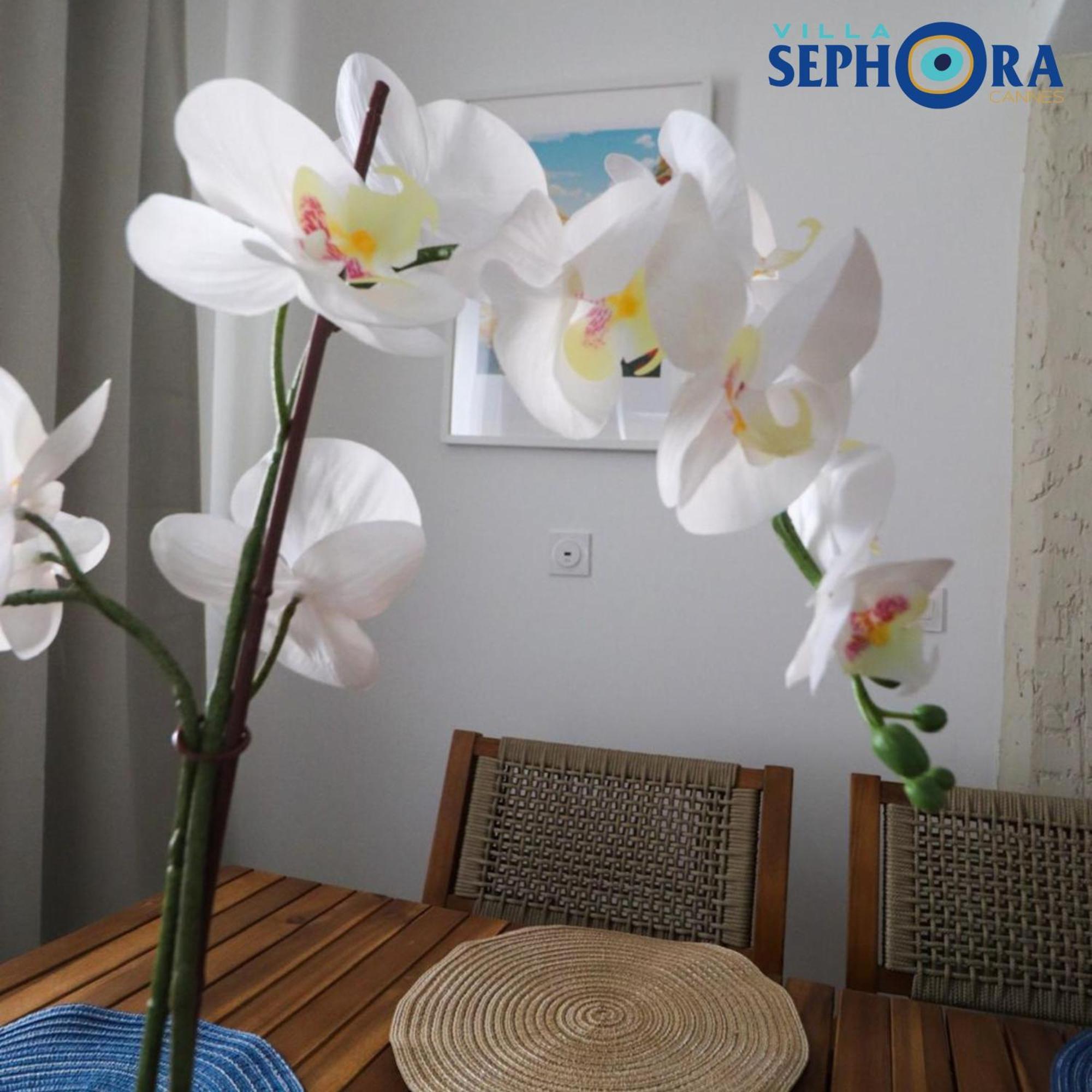 Villa Sephora 칸느 외부 사진